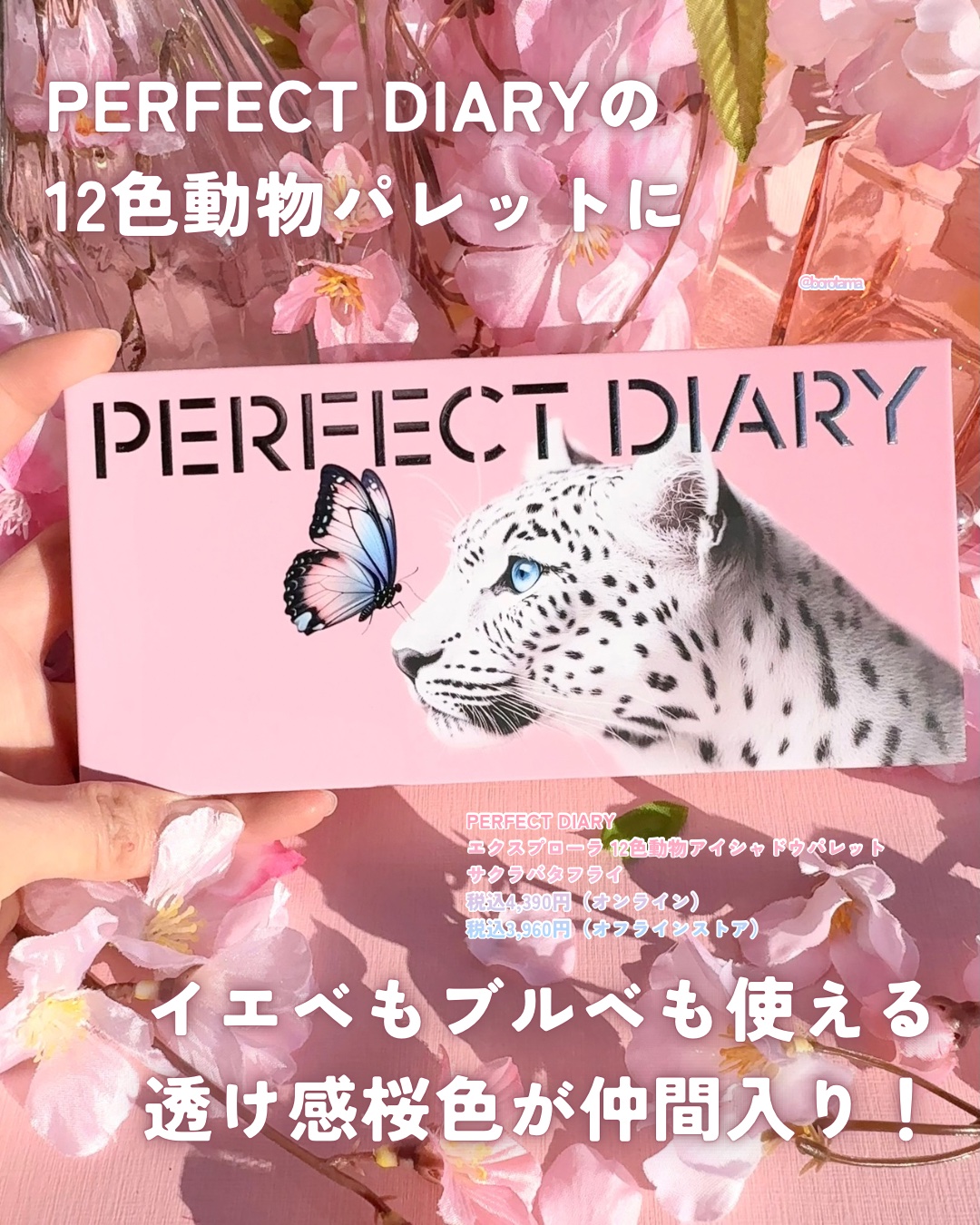 エクスプローラ12色 動物アイシャドウパレット/PERFECT DIARY/アイシャドウパレットを使ったクチコミ（2枚目）