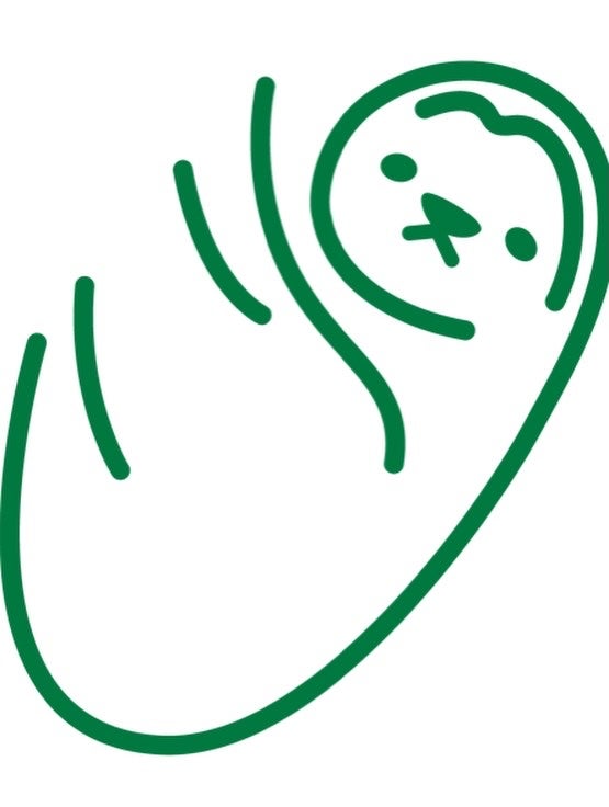 しずく|スキンケア迷子専門|美容の判断軸 on LIPS 「ゆらぎ肌の“休憩時間”に🤍攻めないのに、ちゃんと手応え。強い日..」(5枚目)