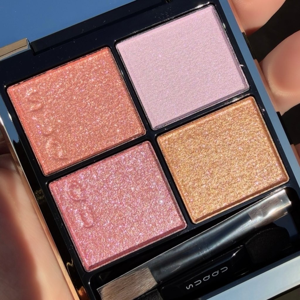 モノ ルック アイズ L-102 天織 -AMAORI(限定色)/SUQQU/単色アイシャドウを使ったクチコミ（2枚目）