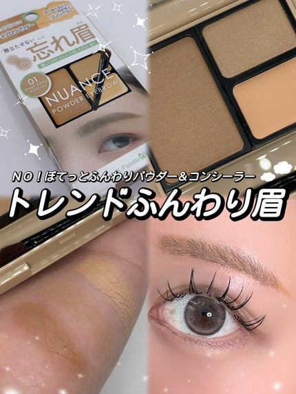 ニュアンスパウダーアイブロウ+/K-パレット/パウダーアイブロウを使ったクチコミ(1枚目)