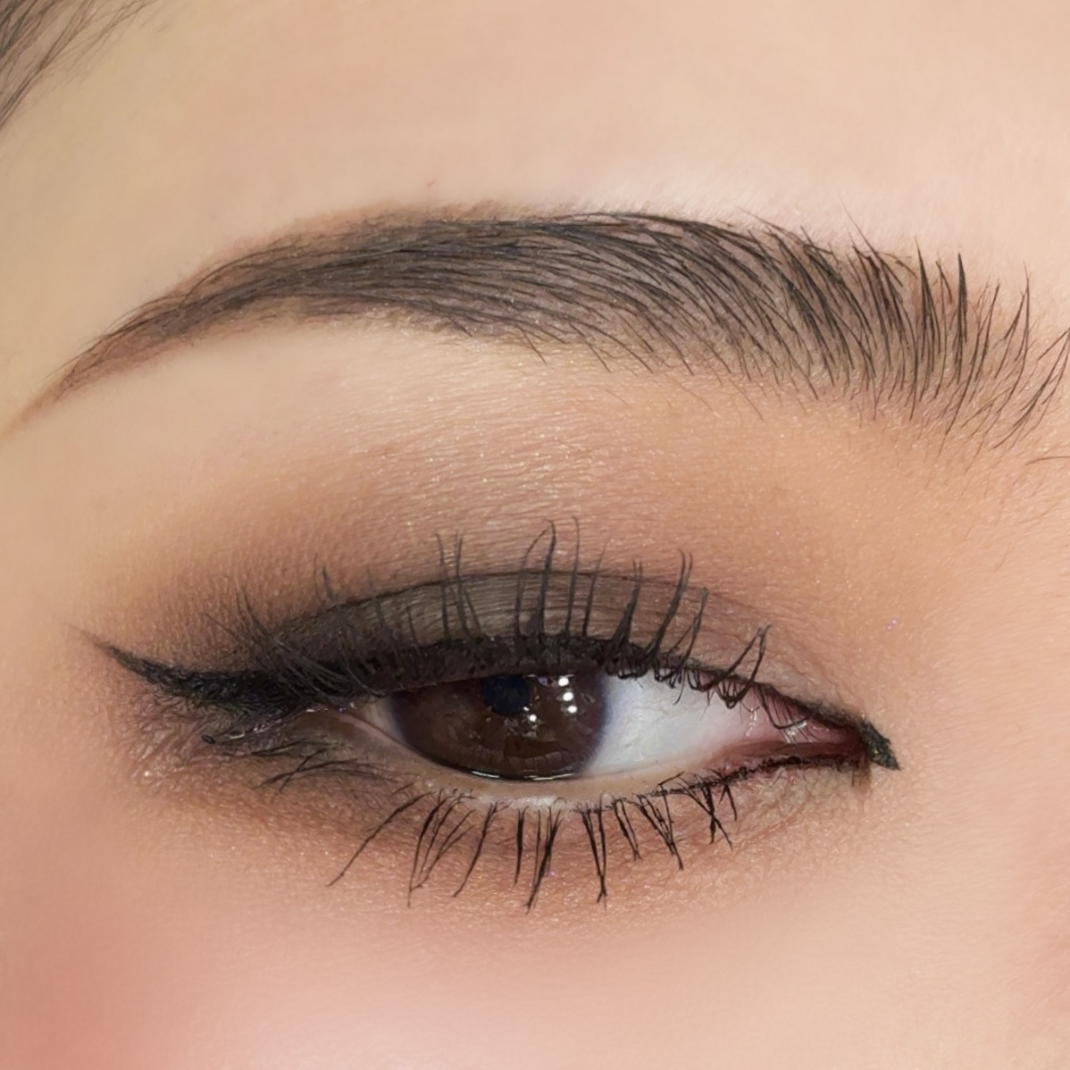 SHEGLAM Hazelnut Latte, Please 8色パレット/SHEGLAM/アイシャドウパレットを使ったクチコミ（3枚目）