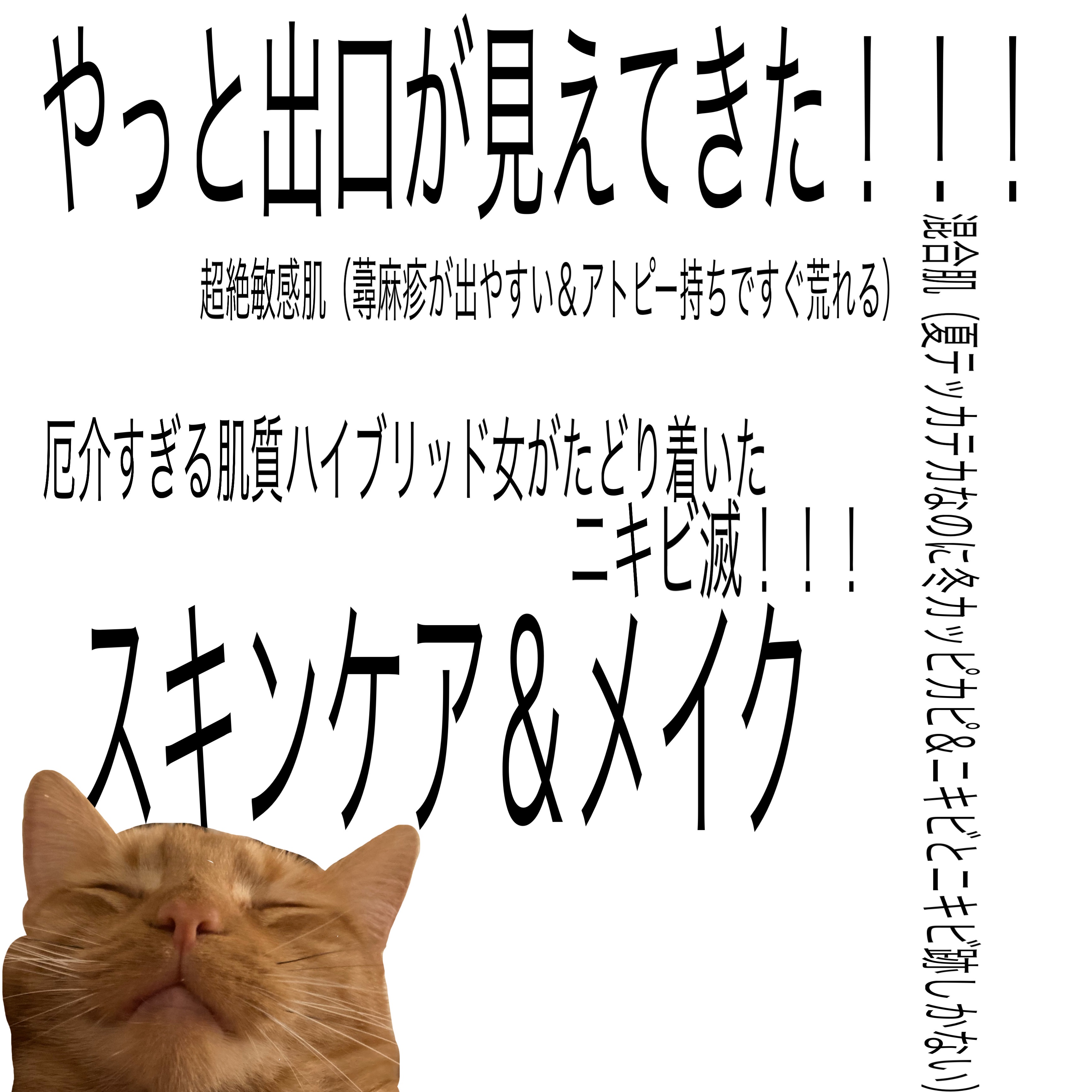 モイスチュア ローション/カルテHD/化粧水を使ったクチコミ（1枚目）