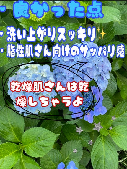 パーソナルカラーで選ぶお肌にあった洗顔石けん イエベ肌さん/ペリカン石鹸/洗顔石鹸を使ったクチコミ(2枚目)