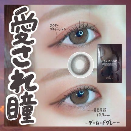 デームードグレーマンスリー (DAYMOOD GRAY monthly)/OLOLA/1ヶ月(1MONTH)カラコンを使ったクチコミ(1枚目)