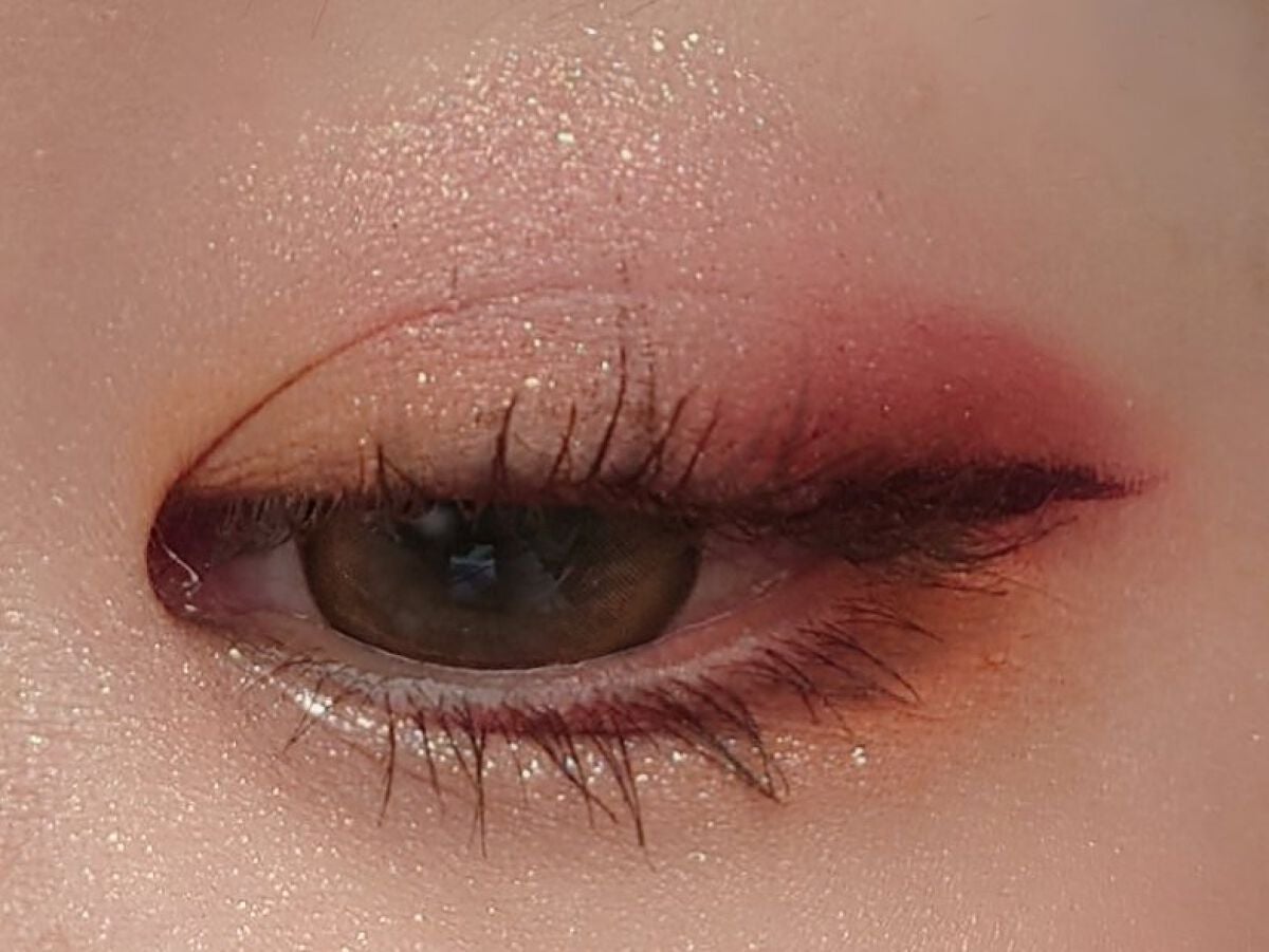 エクスプローラ12色 動物アイシャドウパレット/PERFECT DIARY/アイシャドウパレットを使ったクチコミ(6枚目)