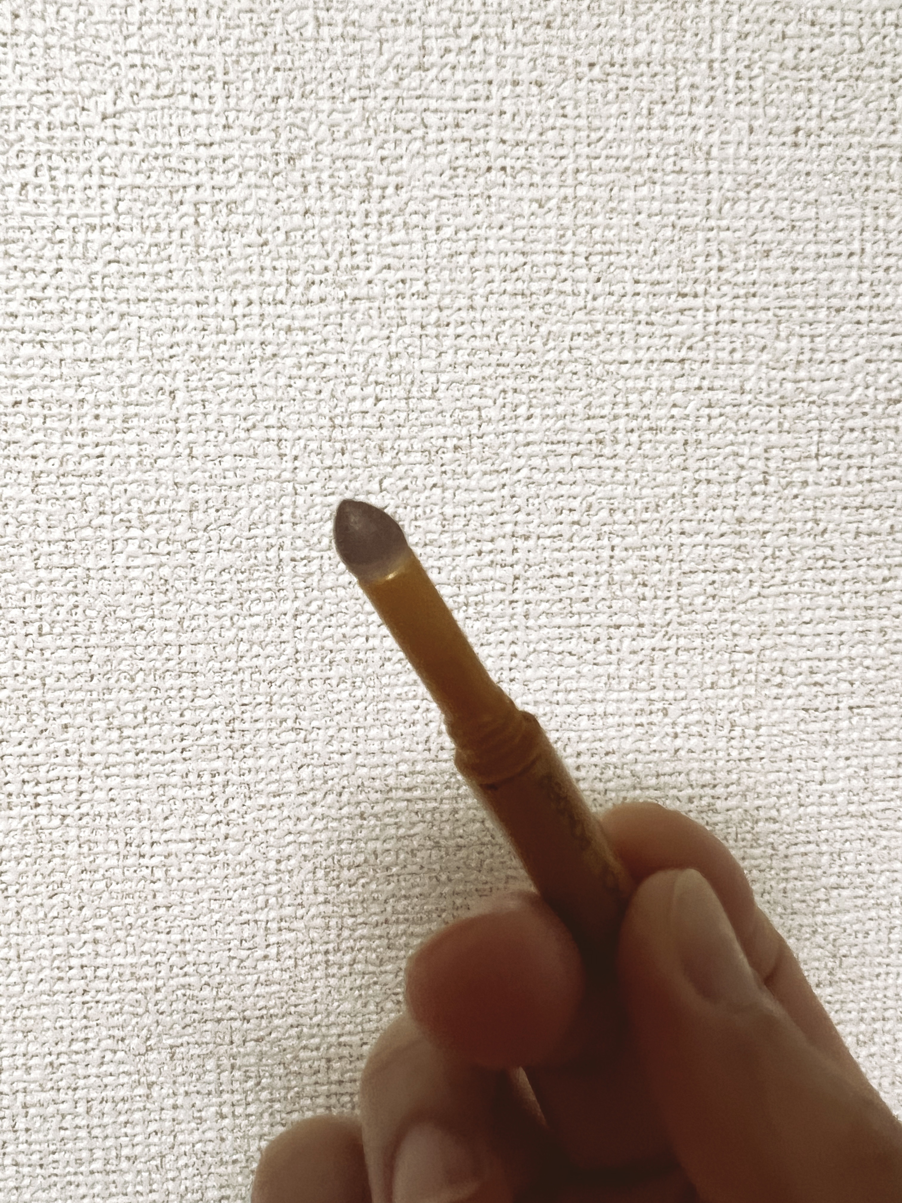 パウダー＆ペンシル　アイブロウＥＸ/excel/アイブロウペンシルを使ったクチコミ（2枚目）