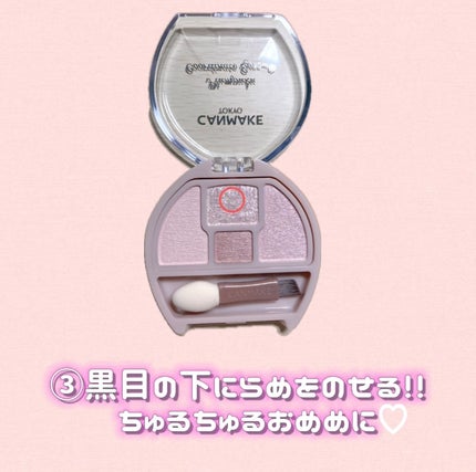 プランぷくコーデアイズ/キャンメイク/パウダーアイシャドウを使ったクチコミ(4枚目)