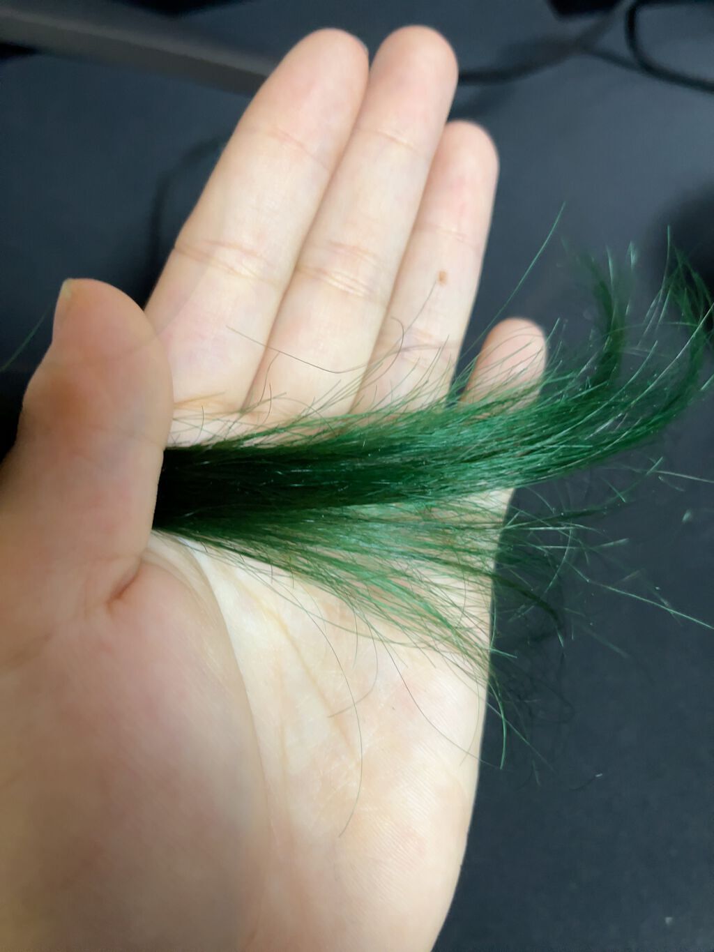 エンシェールズカラーバター ヘンプグリーン/エンシェールズ/ヘアカラーを使ったクチコミ（3枚目）