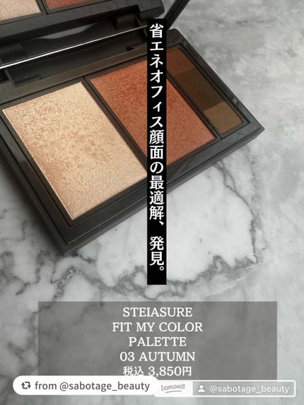 フィット my カラーパレット/STEIASUR(ステイアシュール)/マルチパレットを使ったクチコミ(5枚目)
