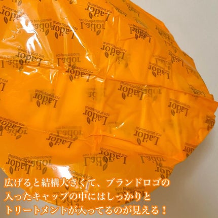 ACV VINEGAR HAIR CAP /La'dor/アウトバストリートメントを使ったクチコミ(4枚目)