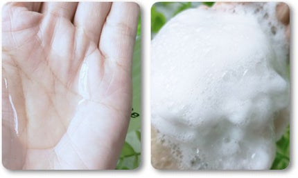 シャンプー/トリートメント/Be/市販シャンプーを使ったクチコミ(1枚目)