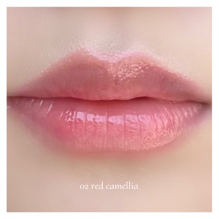 ナチュラルブルームリップオイルセラム 3色セット/PINATE/リップグロスを使ったクチコミ(6枚目)