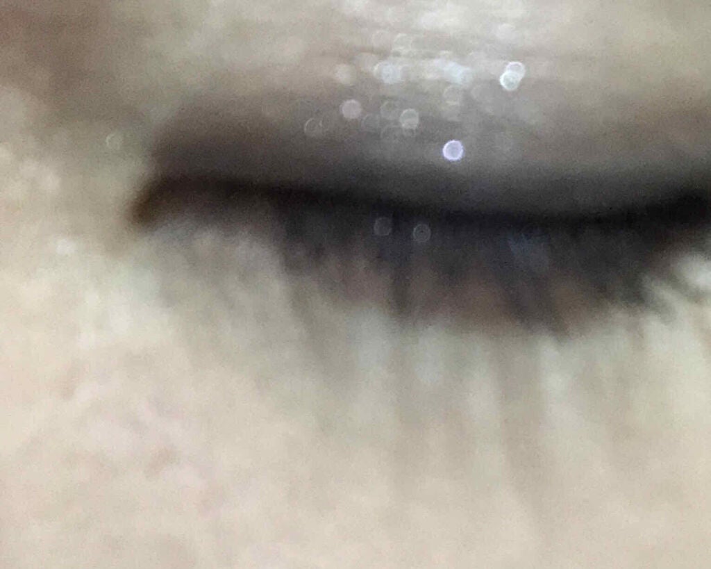 2020 ホリデー アイシャドウ コンパクト/SUQQU/アイシャドウパレットを使ったクチコミ(2枚目)