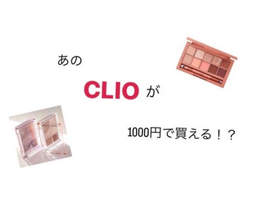 プロ アイ パレット/CLIO/パウダーアイシャドウを使ったクチコミ（1枚目）