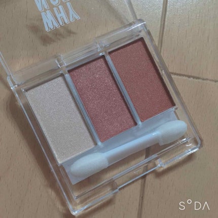 WHY NOT SPINNS 3色アイシャドウ テラコッタブラウン/DAISO/アイシャドウパレットを使ったクチコミ(2枚目)