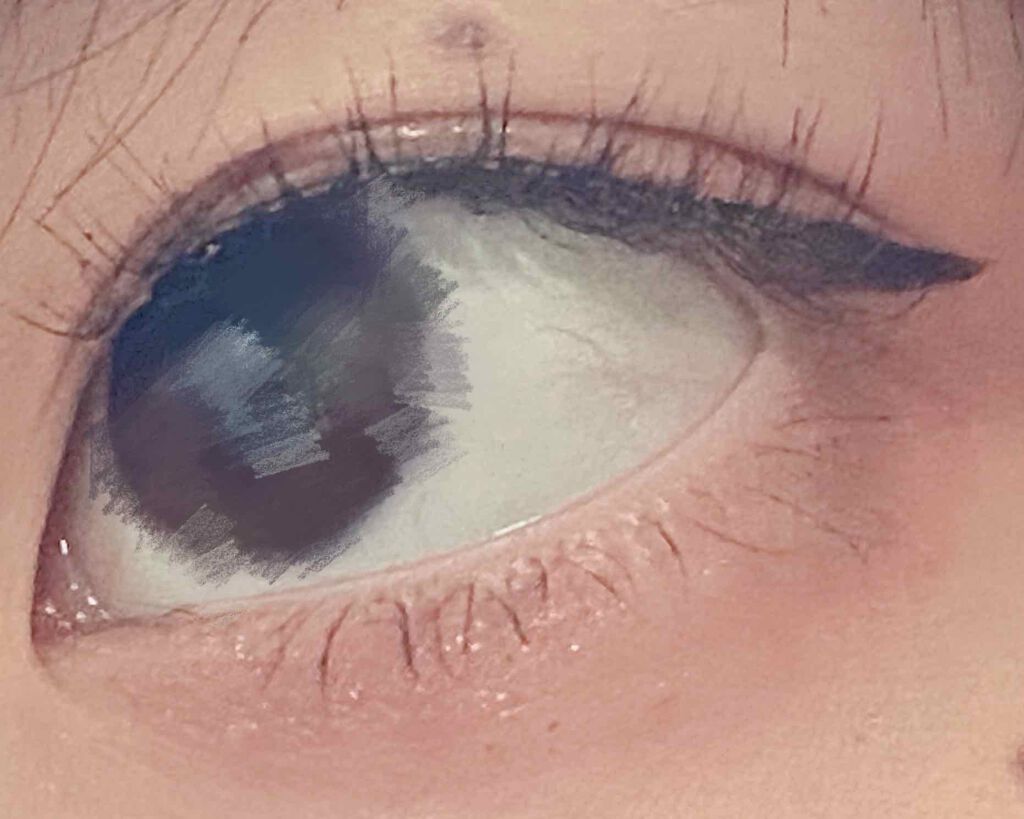 アイラッシュフィクサーEX 552/D-UP/つけまつげを使ったクチコミ(1枚目)