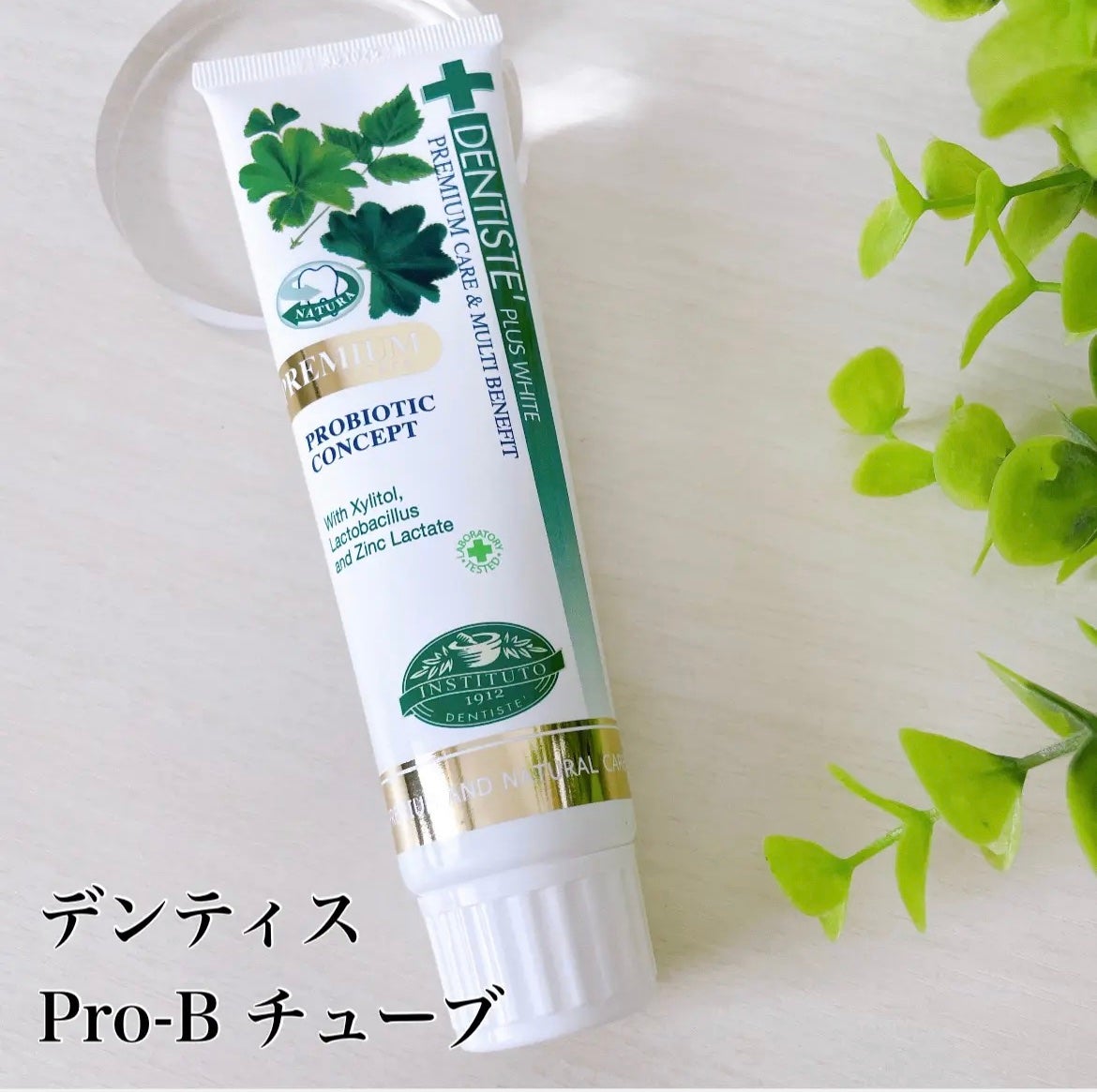 デンティス Pro-B チューブタイプ/デンティス/歯磨き粉を使ったクチコミ(3枚目)