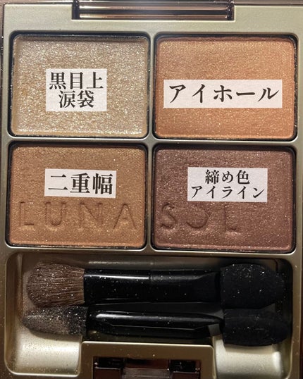 スキンモデリングアイズ/LUNASOL/アイシャドウパレットを使ったクチコミ(3枚目)