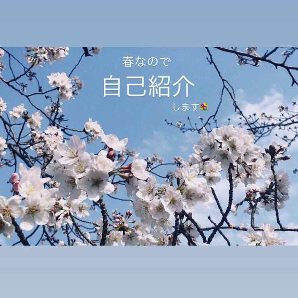 フルグラマーリップス/LUNASOL/口紅を使ったクチコミ（1枚目）