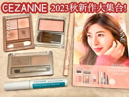 アイブロウワックス&パウダー/CEZANNE/アイブロウを使ったクチコミ(1枚目)