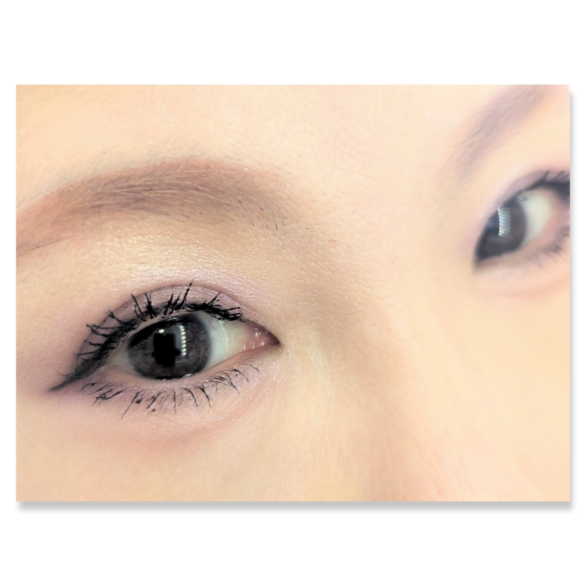 シルキースフレアイズ/キャンメイク/アイシャドウパレットを使ったクチコミ（2枚目）