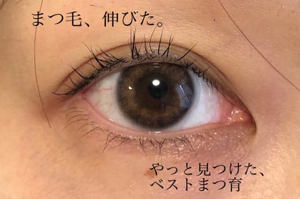 エグータム/アルマダスタイル/まつげ美容液を使ったクチコミ(1枚目)