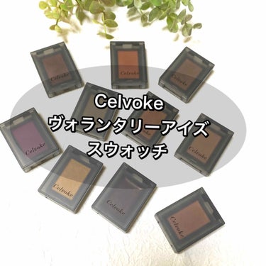 セルヴォーク ヴォランタリー アイズ/Celvoke/パウダーアイシャドウを使ったクチコミ（1枚目）