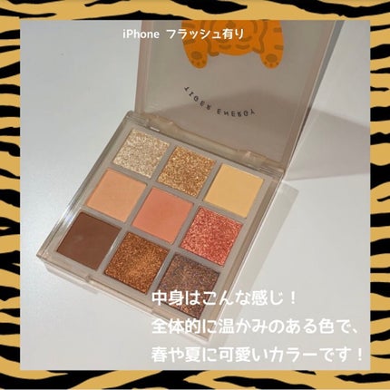 ムジークタイガープレイカラーアイズ/ETUDE/アイシャドウパレットを使ったクチコミ(3枚目)