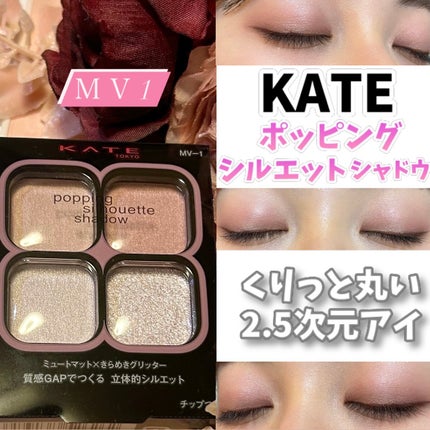 ケイト ポッピングシルエットシャドウ/KATE/アイシャドウパレットを使ったクチコミ(1枚目)