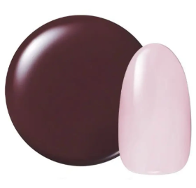 カラージェル ヴェールシリーズ #244 カシスヴェール