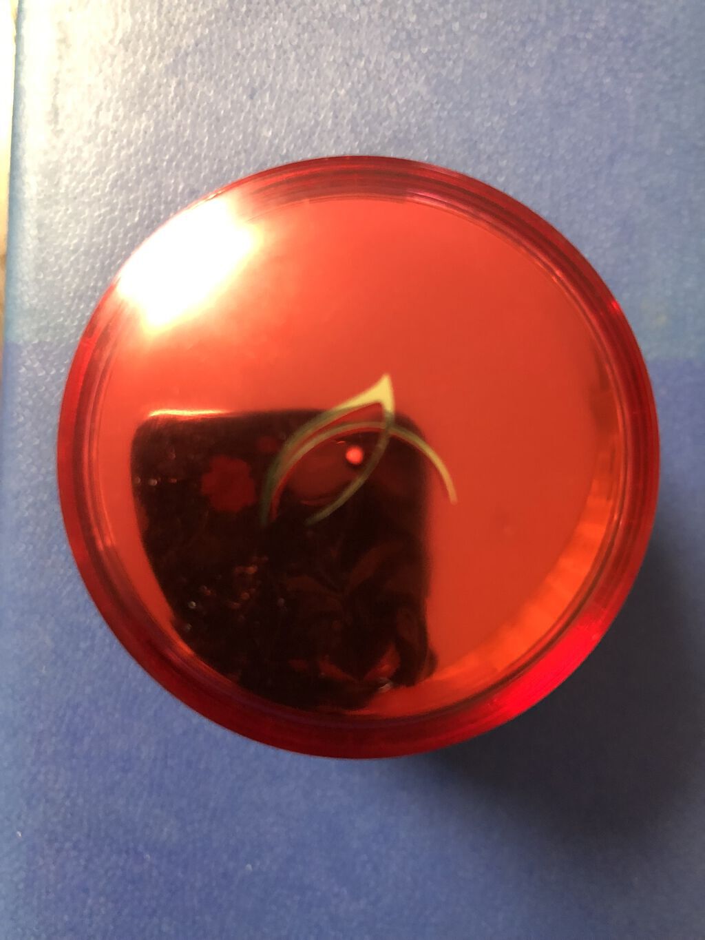 クリーム/PHYTOLIFT(フィトリフト)/フェイスクリームを使ったクチコミ（2枚目）