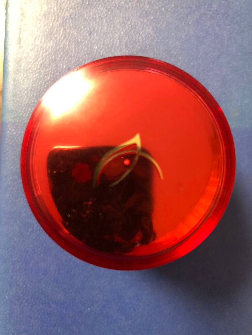 クリーム/PHYTOLIFT(フィトリフト)/フェイスクリームを使ったクチコミ(2枚目)