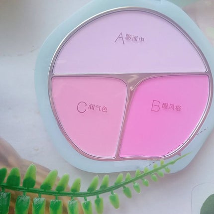 TIMAGE  3色チークパレット/TIMAGE/パウダーチークを使ったクチコミ(5枚目)