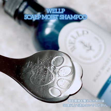 薬用スカルプケアシャンプー/トリートメント モイスト/WELLP/市販シャンプーを使ったクチコミ(2枚目)
