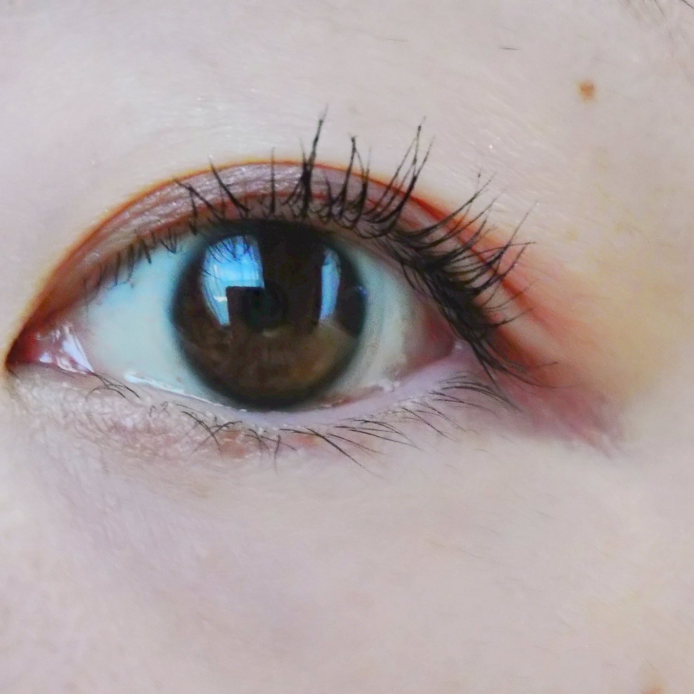 ルナソル アイカラーレーションN/LUNASOL/アイシャドウパレットを使ったクチコミ(3枚目)