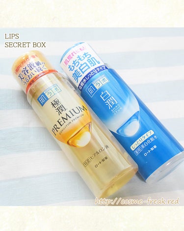 【クリアランスセール限定】シークレットボックス/LIPS/その他キットセットを使ったクチコミ（2枚目）