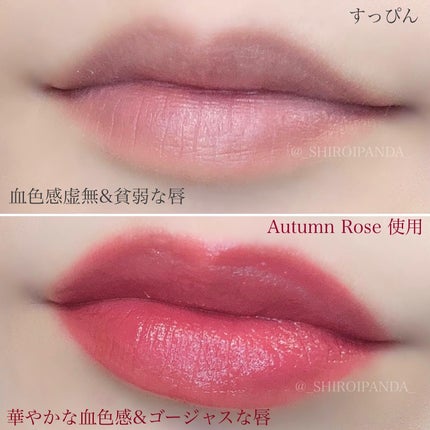 ドトムリッププラスプランパー/keybo/リッププランパーを使ったクチコミ(3枚目)