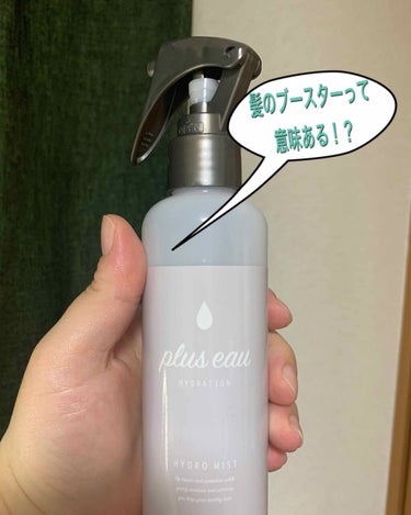 ハイドロミストN/plus eau/アウトバストリートメントを使ったクチコミ（1枚目）