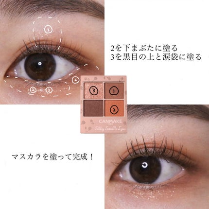 シルキースフレアイズ(マットタイプ)/キャンメイク/アイシャドウパレットを使ったクチコミ(3枚目)