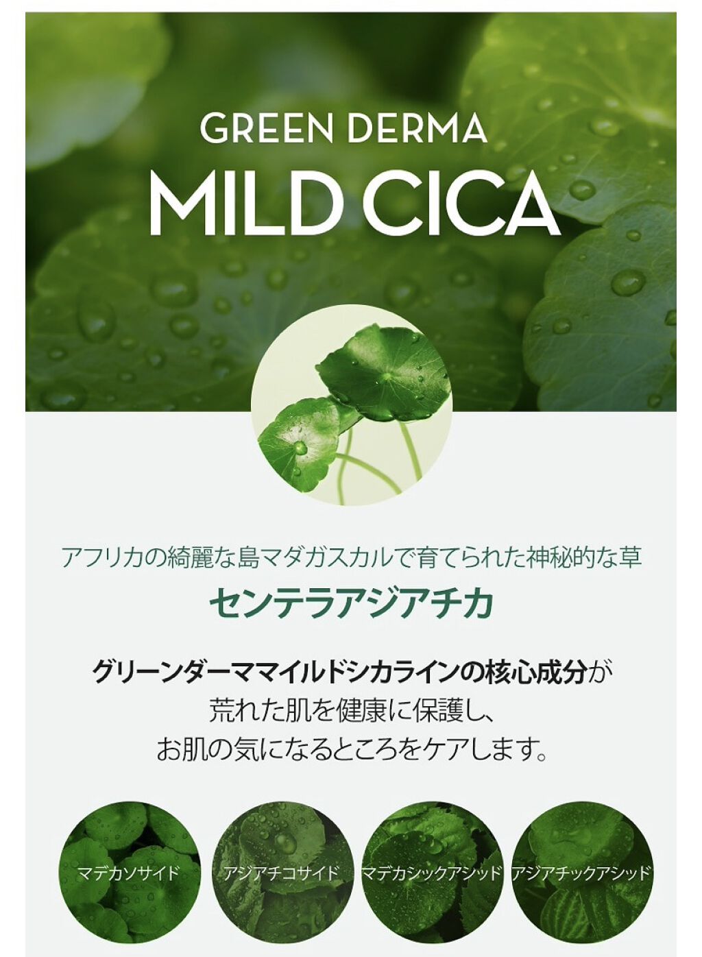 グリーン ダーマCICAビックトナー/ネイチャーリパブリック/化粧水を使ったクチコミ（2枚目）