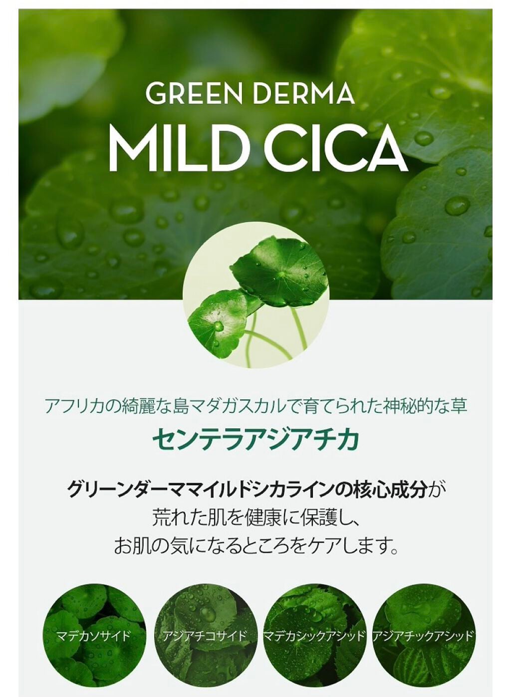 グリーン ダーマCICAビックトナー/ネイチャーリパブリック/化粧水を使ったクチコミ(2枚目)