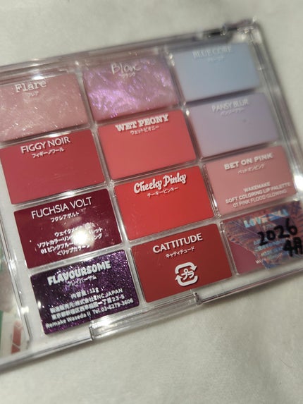 ソフトカラーリングリップパレット 01 PINK FLOOD GLOWING/wakemake/口紅を使ったクチコミ(3枚目)