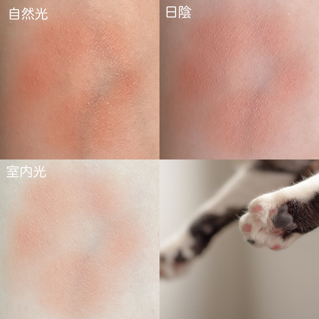 ラブリー肉球チーク/CHIOTURE/パウダーチークを使ったクチコミ（3枚目）