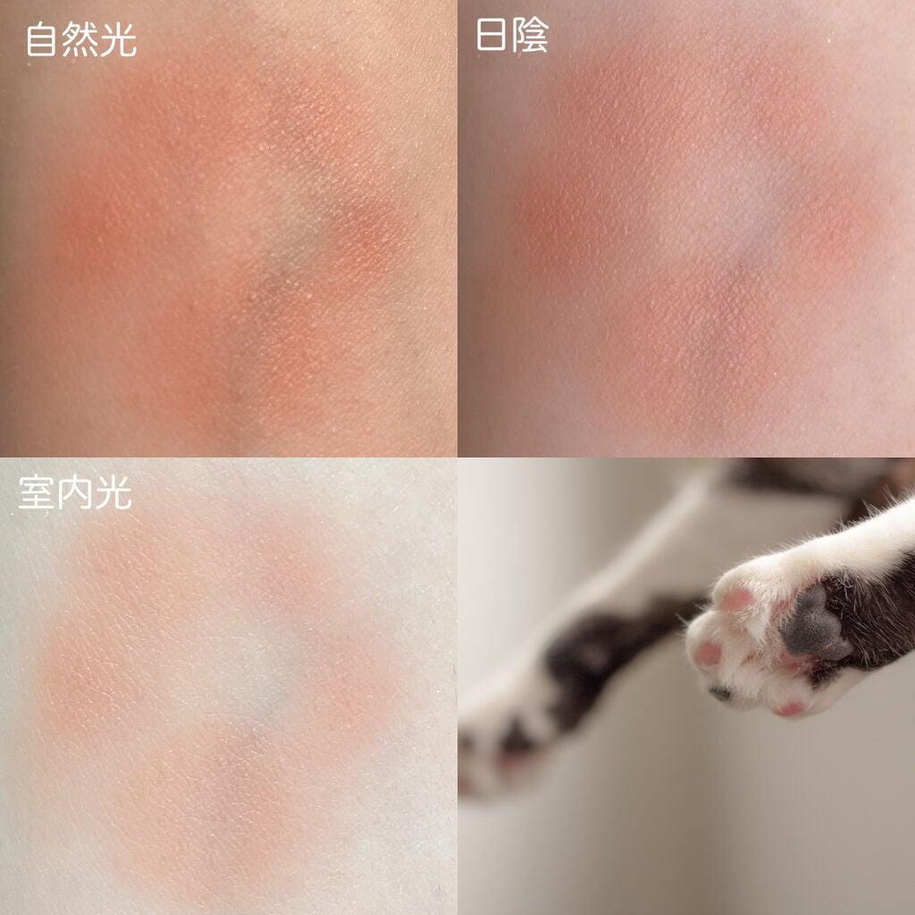 ラブリー肉球チーク/CHIOTURE/パウダーチークを使ったクチコミ(3枚目)