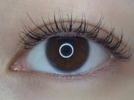 愛ラッシュマスカラR/b idol/マスカラを使ったクチコミ(2枚目)