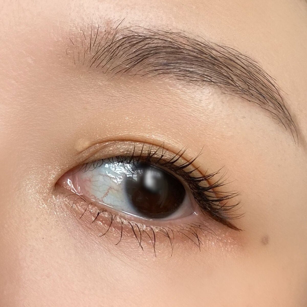 ビューティーアップマスカラ/PHOEBE BEAUTY UP/マスカラを使ったクチコミ(4枚目)