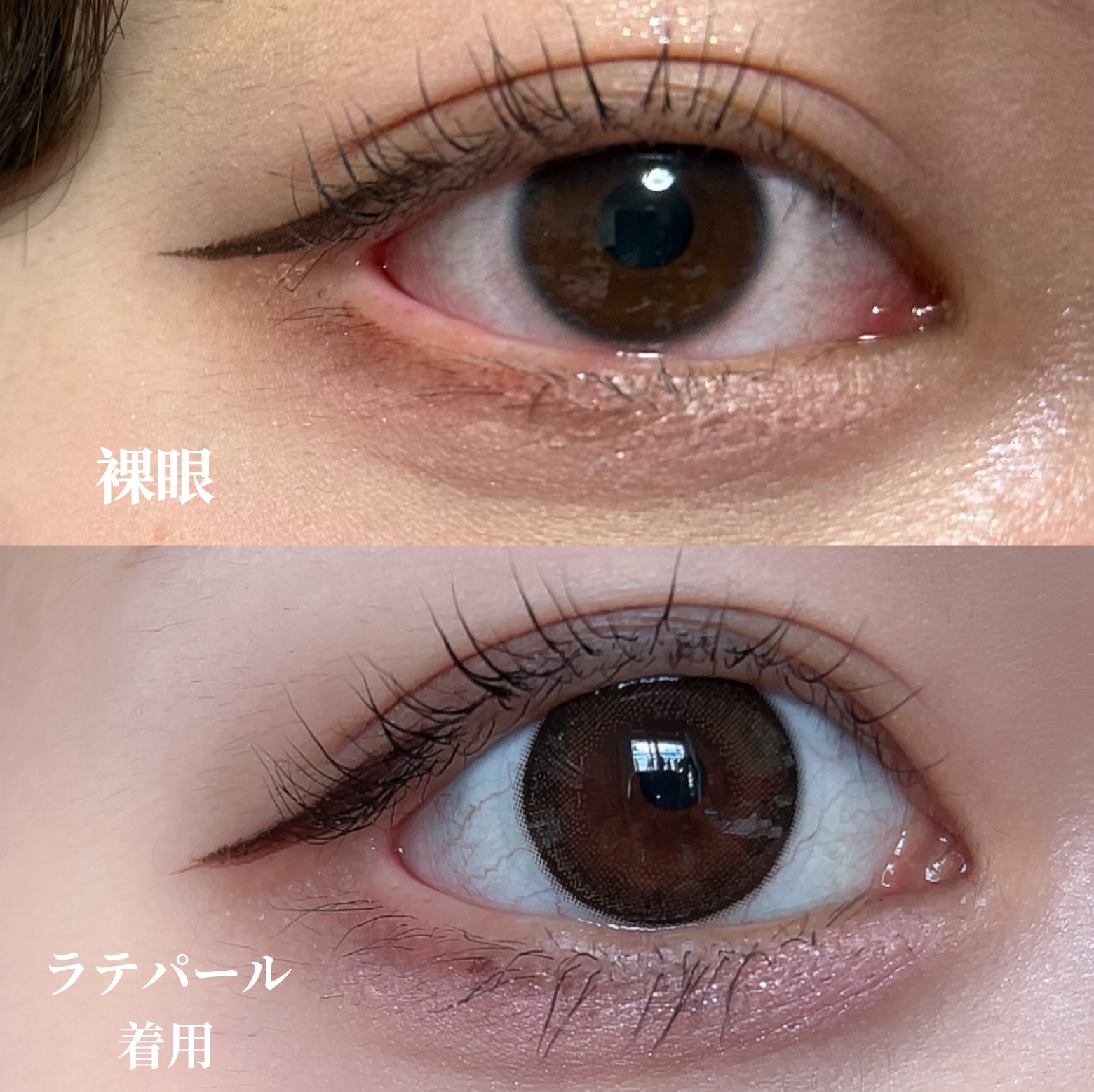 TOPARDS 1day/TOPARDS/ワンデー（１DAY）カラコンを使ったクチコミ（3枚目）