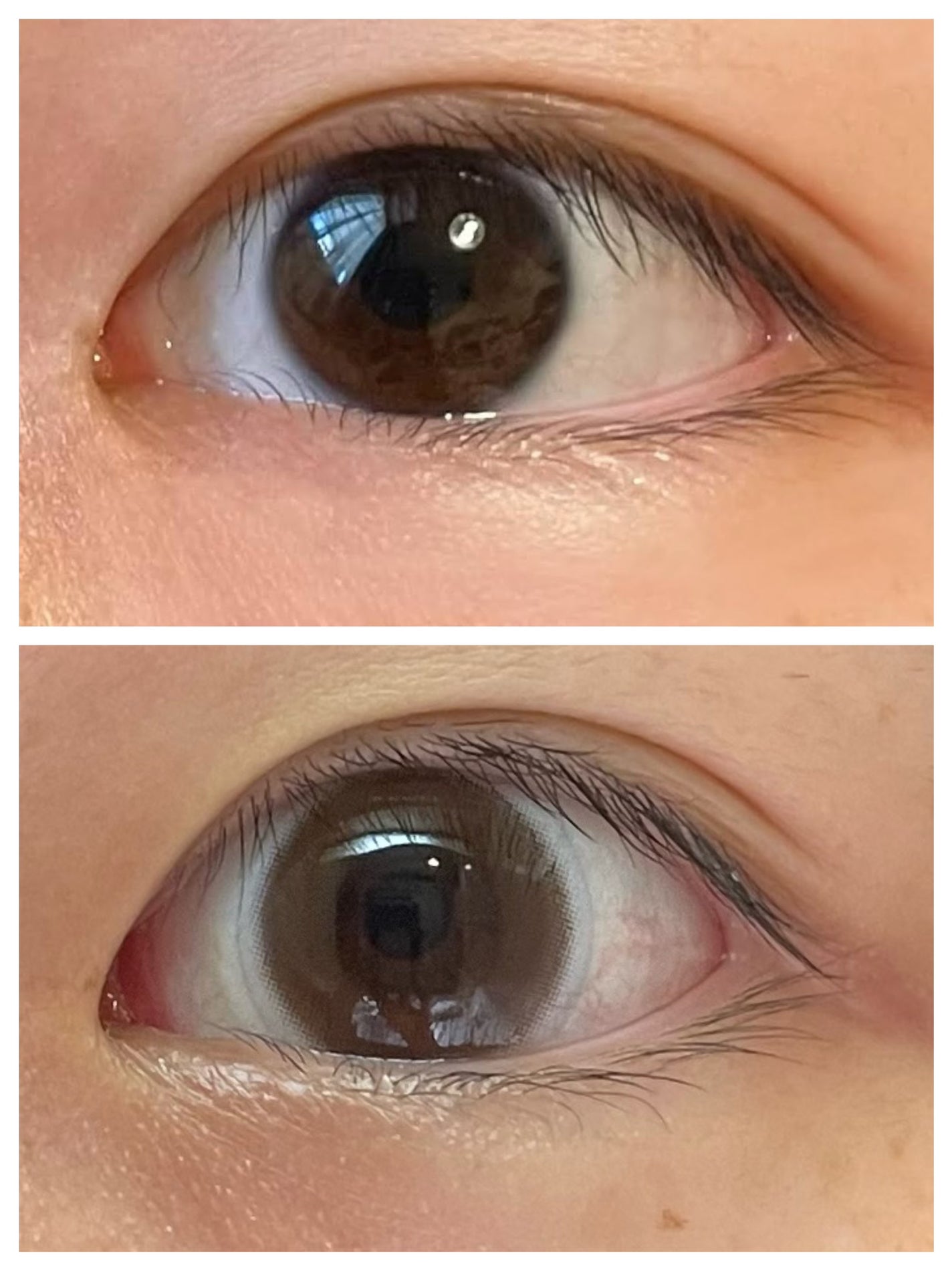 ReVIA 1day/ReVIA/ワンデー(1DAY)カラコンを使ったクチコミ(2枚目)