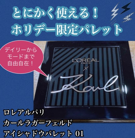 カール ラガーフェルド アイシャドウパレット/ロレアル パリ/アイシャドウパレットを使ったクチコミ(1枚目)
