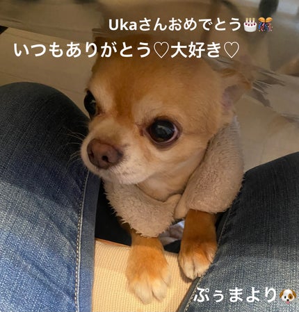 ヴェルニ ロング トゥニュ/CHANEL/マニキュアを使ったクチコミ(7枚目)